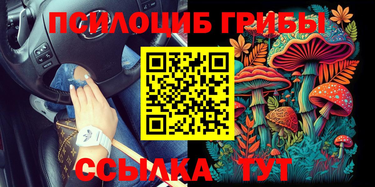 Галлюциногенные грибы MAGIC MUSHROOMS  Вход с VPN  Всеволожск 