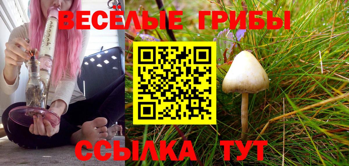 Галлюциногенные грибы мицелий Всеволожск